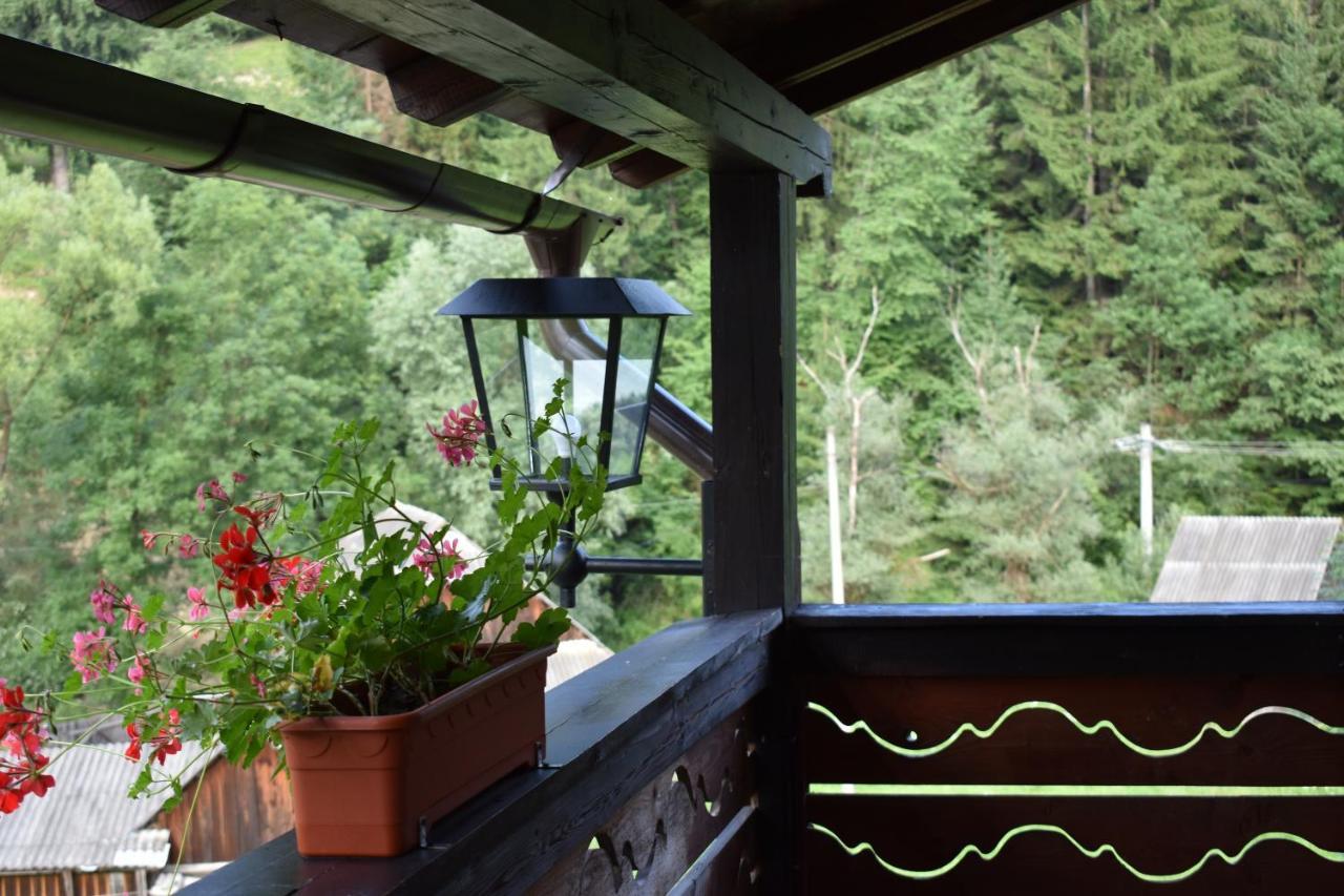 Clematis House Βίλα Voronet Εξωτερικό φωτογραφία