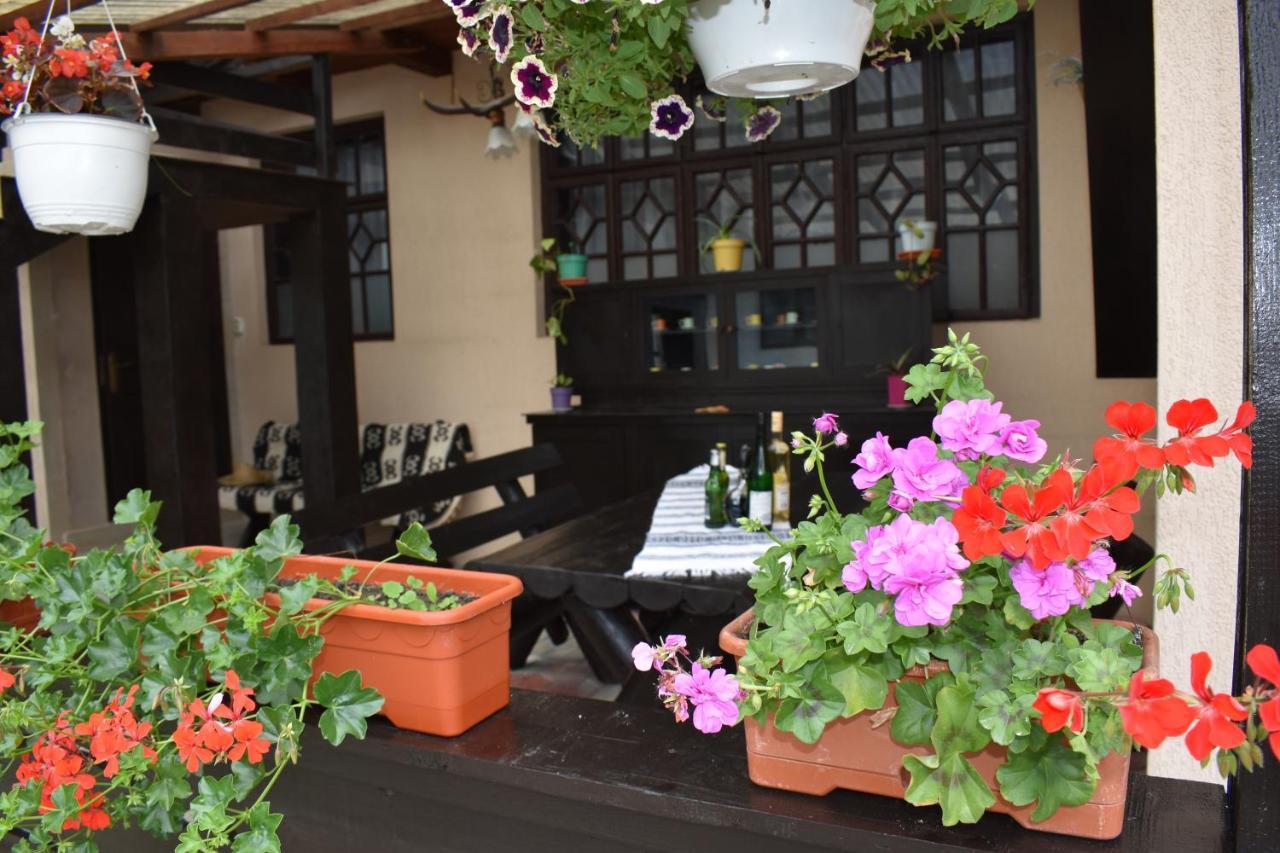 Clematis House Βίλα Voronet Εξωτερικό φωτογραφία