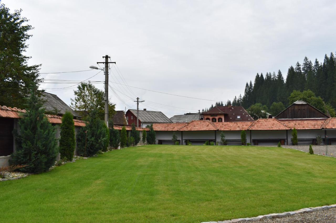Clematis House Βίλα Voronet Εξωτερικό φωτογραφία