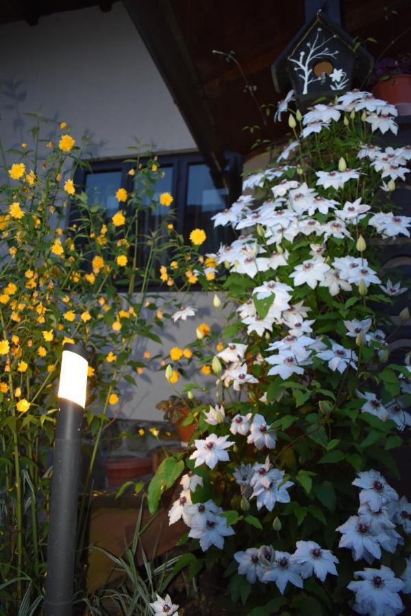 Clematis House Βίλα Voronet Εξωτερικό φωτογραφία