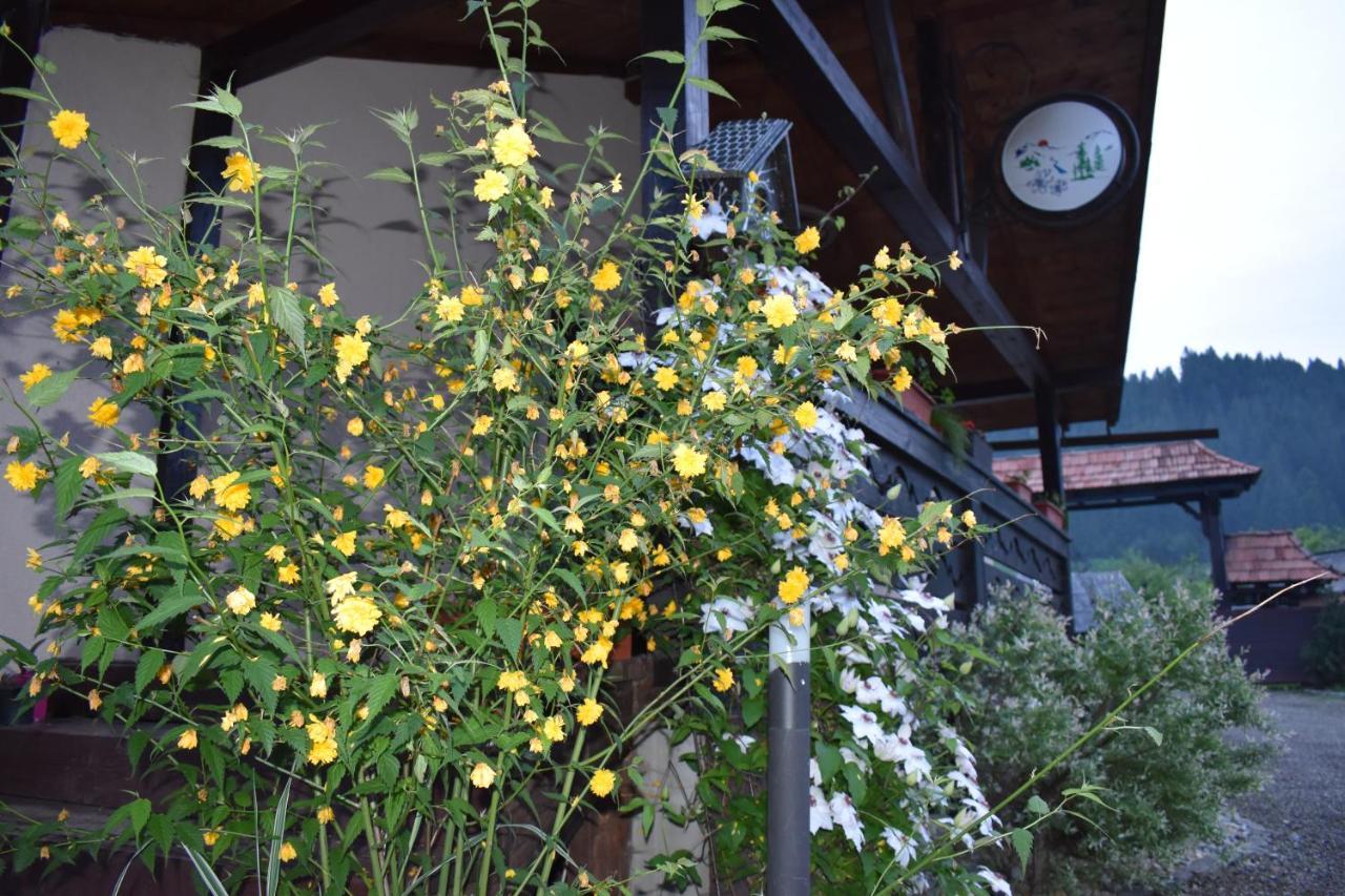 Clematis House Βίλα Voronet Εξωτερικό φωτογραφία