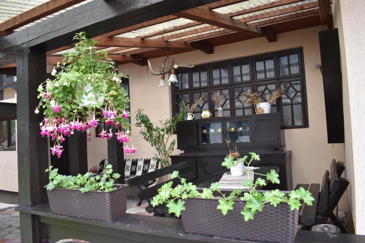 Clematis House Βίλα Voronet Εξωτερικό φωτογραφία