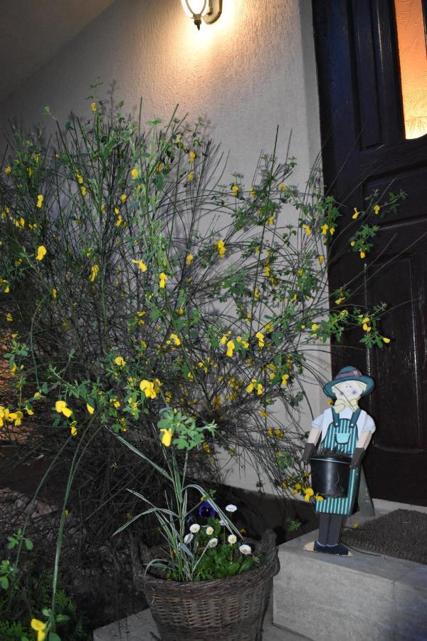 Clematis House Βίλα Voronet Εξωτερικό φωτογραφία