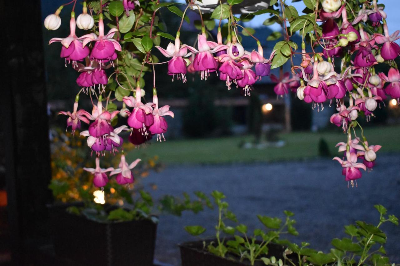 Clematis House Βίλα Voronet Εξωτερικό φωτογραφία