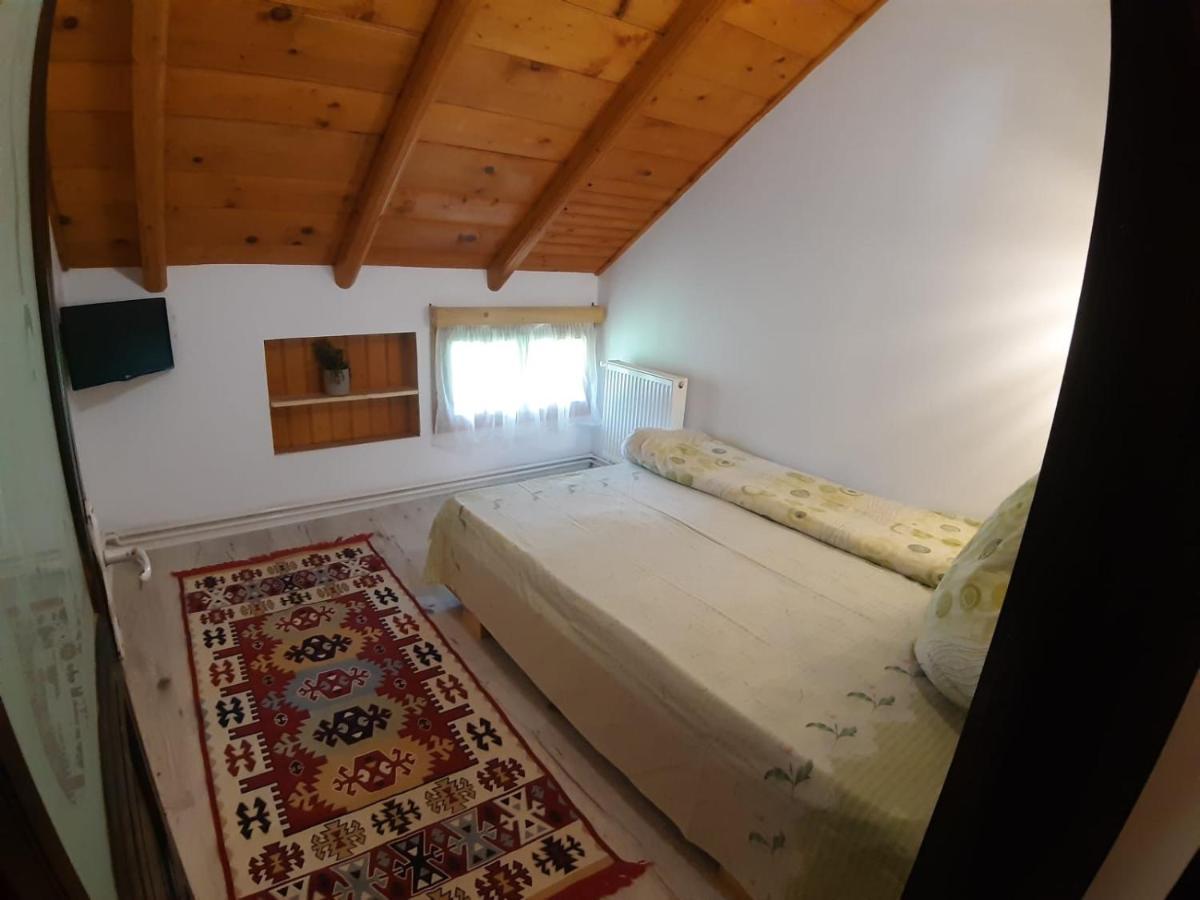 Clematis House Βίλα Voronet Εξωτερικό φωτογραφία