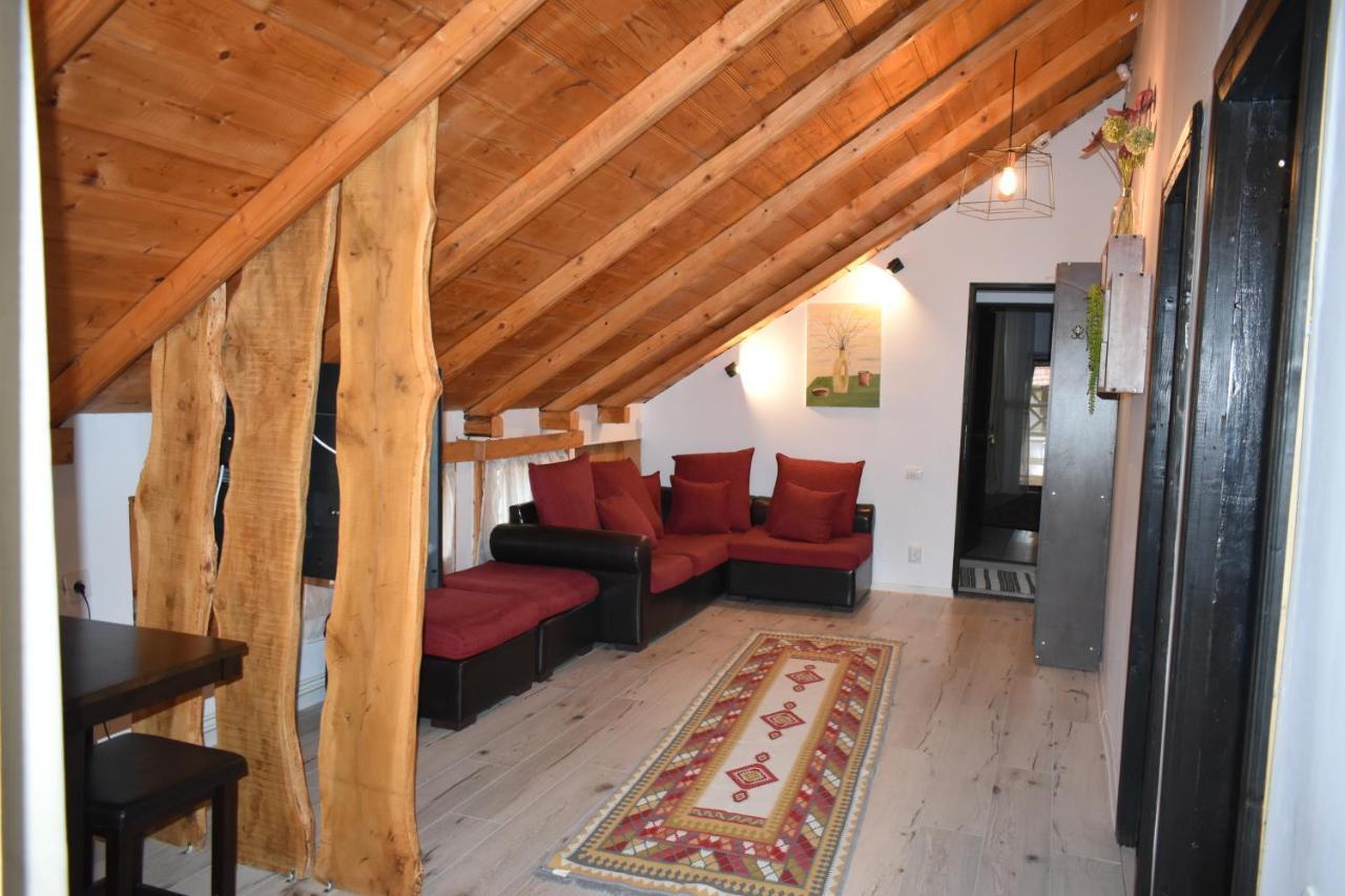 Clematis House Βίλα Voronet Εξωτερικό φωτογραφία